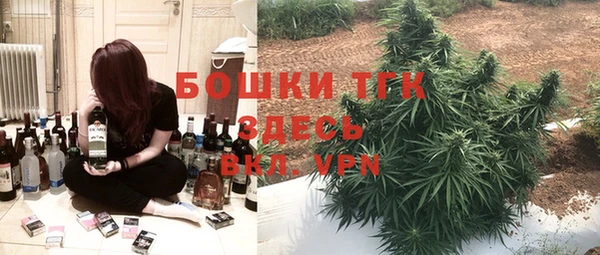 дживик Алексин