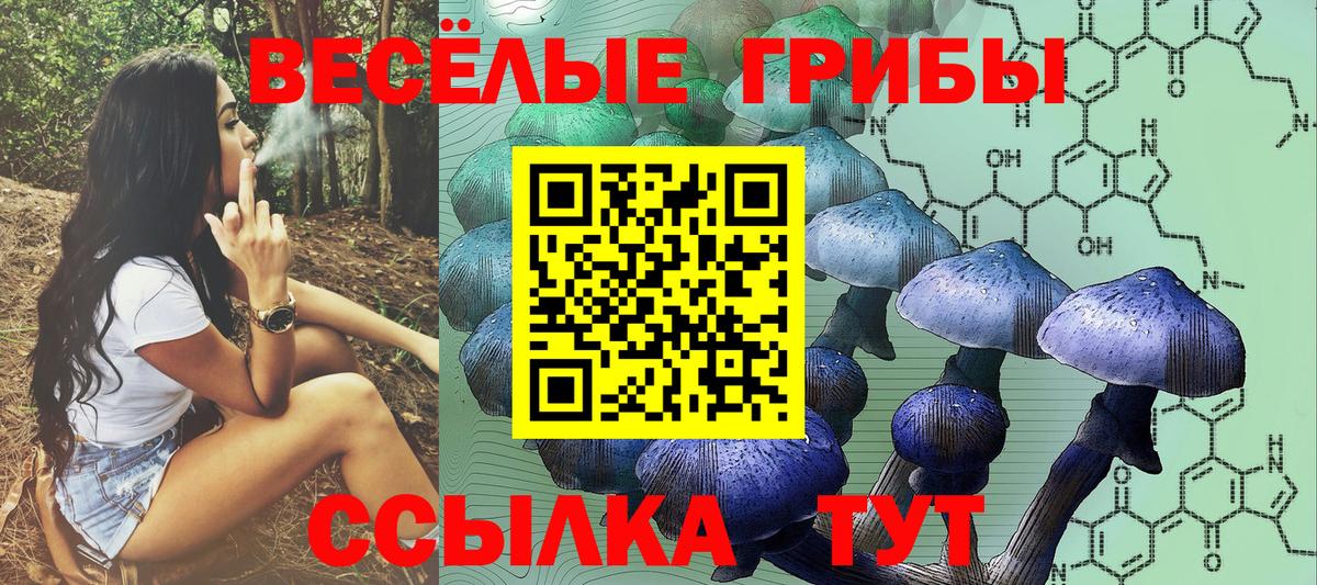 Псилоцибиновые грибы Psilocybine cubensis  Вход с VPN  Псилоцибиновые грибы MAGIC MUSHROOMS  даркнет сайт  Кирово-Чепецк 