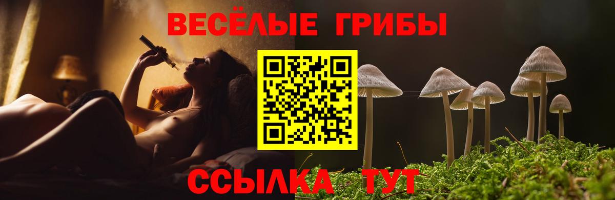 Псилоцибиновые грибы прущие грибы Кирово-Чепецк